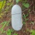 云南香冬瓜（落地瓜）口感香糯，大量出货，品质保证