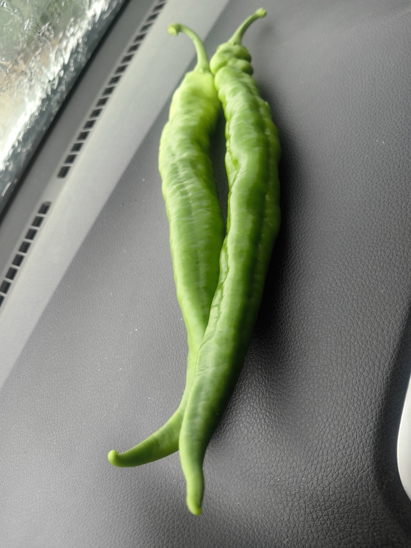 鲜辣椒