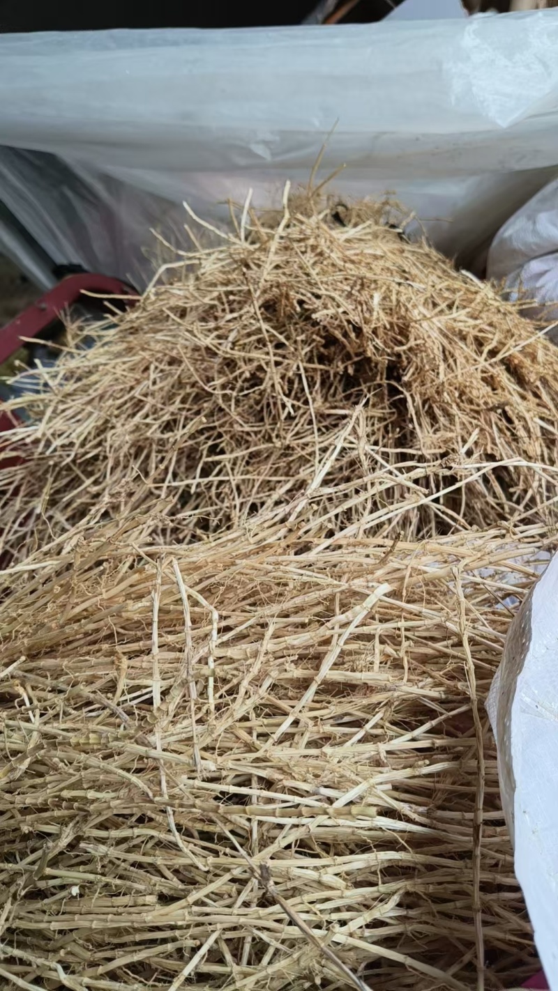 野生的白茅根干货成条