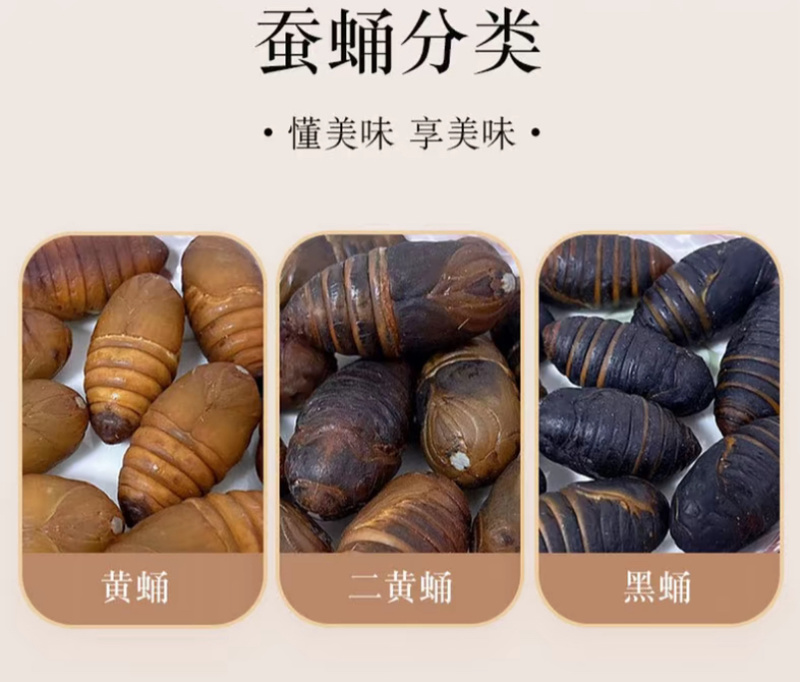 铁岭西丰产地蚕蛹