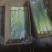 蒜苔，金乡蒜苔，电商，市场，一手货源无任何费用。一吨起