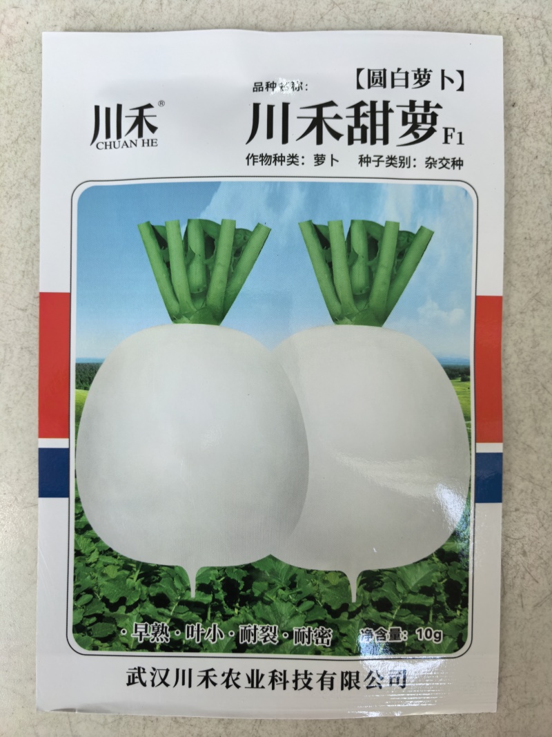 甜萝圆白萝卜种子川禾甜脆早熟白皮白肉秋播70天大白圆萝卜
