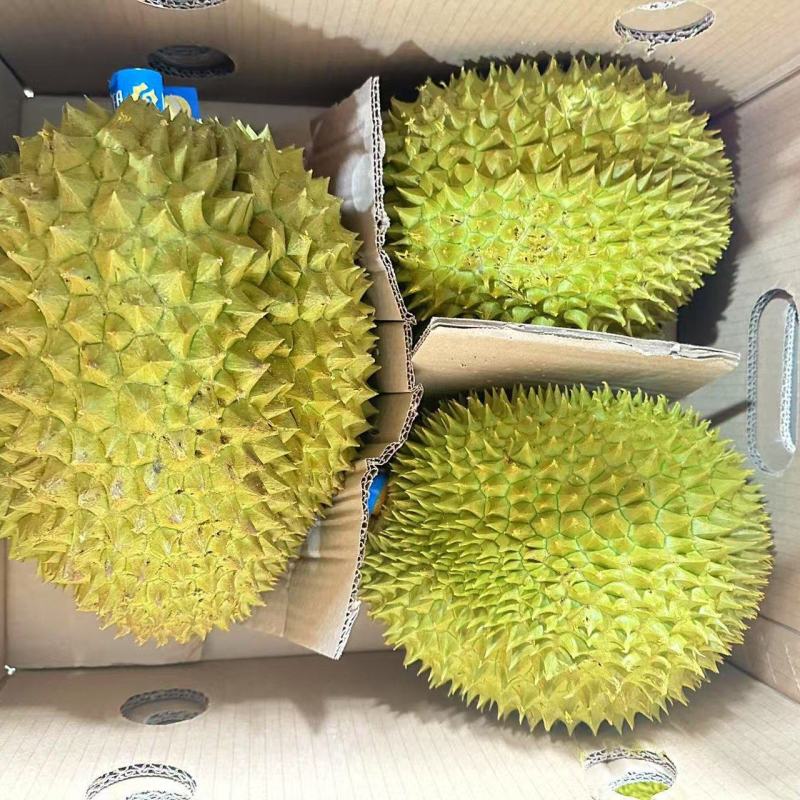 金枕榴莲AAAA货非常漂亮