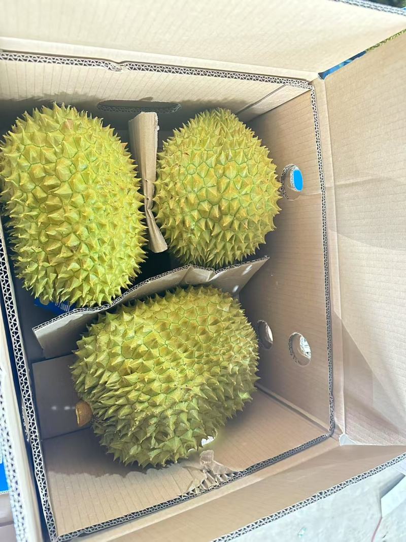 金枕榴莲AAAA货非常漂亮