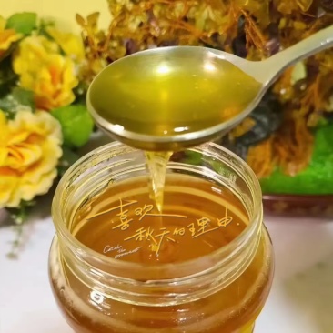 正宗农家蜂蜜，批发价，不包物流费