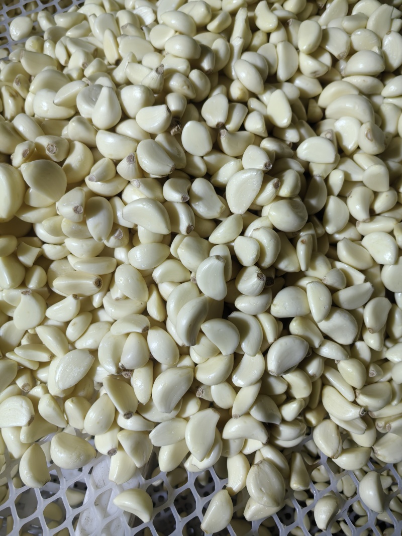 金乡蒜米，厂家直供，电商，市场，加工厂，均可一手货源