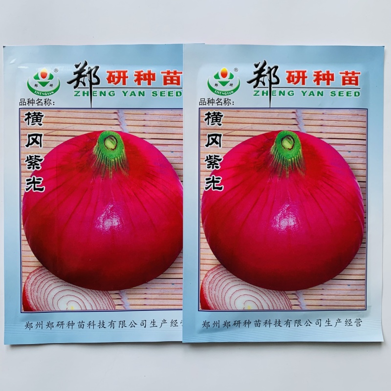 郑研种苗横冈紫光紫皮洋葱种子圆扁型葱种子紫红皮洋葱种籽