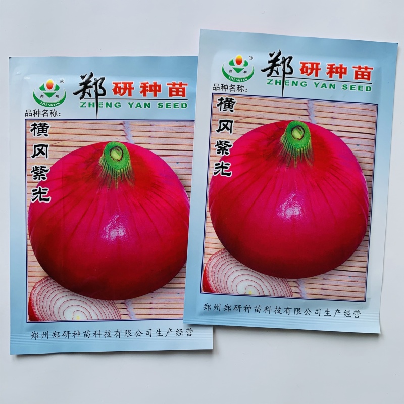 郑研种苗横冈紫光紫皮洋葱种子圆扁型葱种子紫红皮洋葱种籽