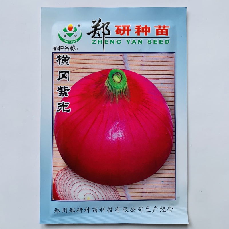 郑研种苗横冈紫光紫皮洋葱种子圆扁型葱种子紫红皮洋葱种籽