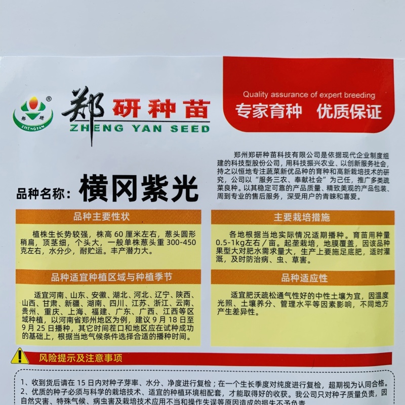 郑研种苗横冈紫光紫皮洋葱种子圆扁型葱种子紫红皮洋葱种籽