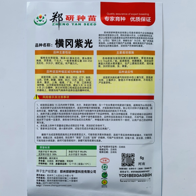 郑研种苗横冈紫光紫皮洋葱种子圆扁型葱种子紫红皮洋葱种籽