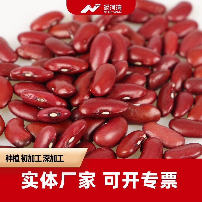 大量红芸豆现货，产地工厂，专业出口红芸豆17年