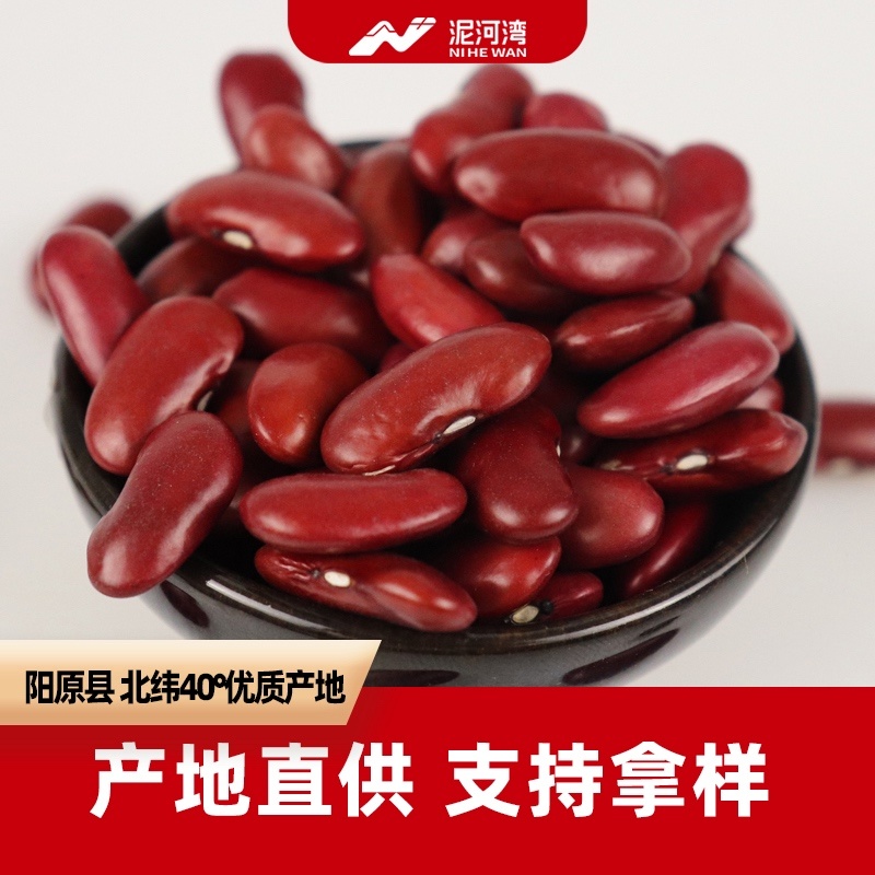 大量红芸豆现货，产地工厂，专业出口红芸豆17年