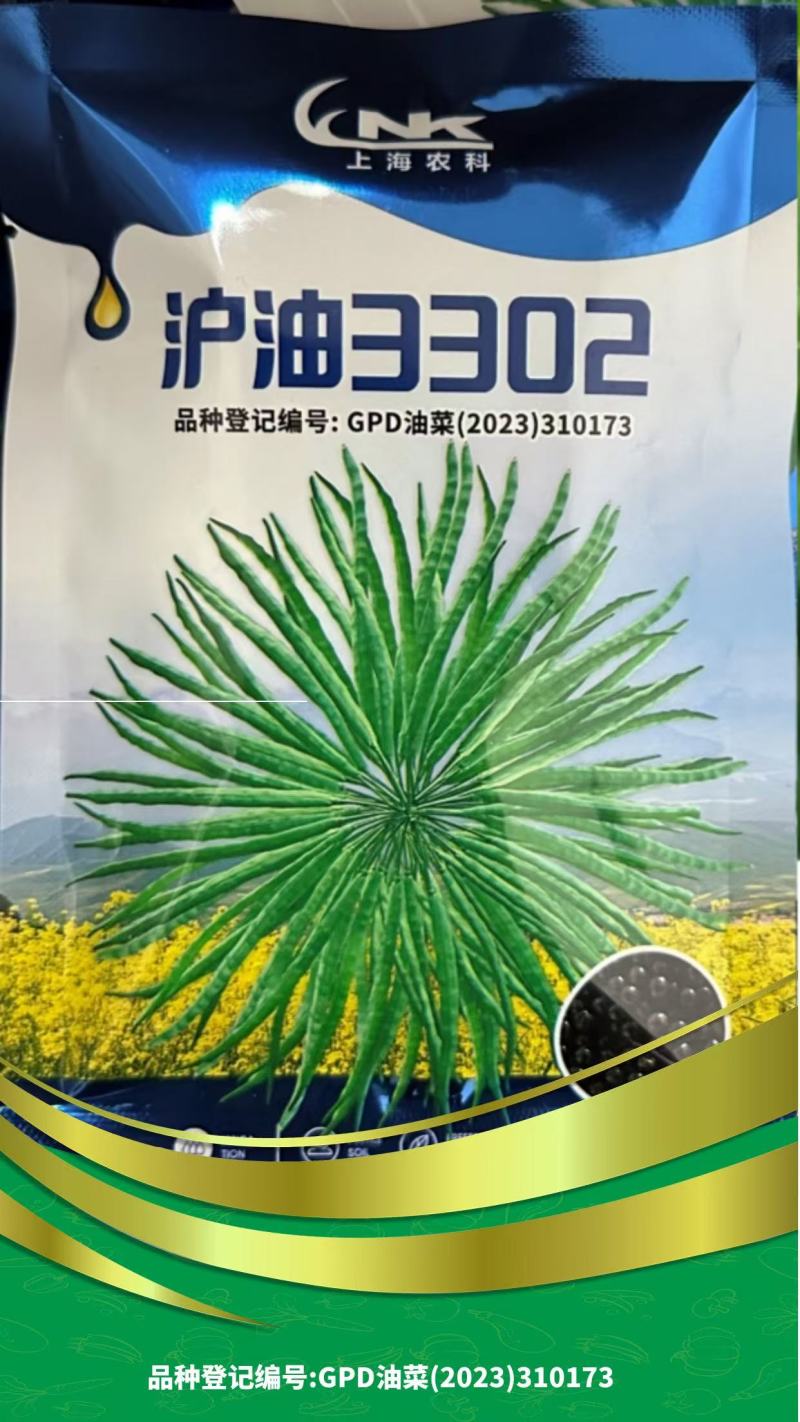 油菜种子，黑籽，厂家直发，一手货源，量大优惠，欢迎合作