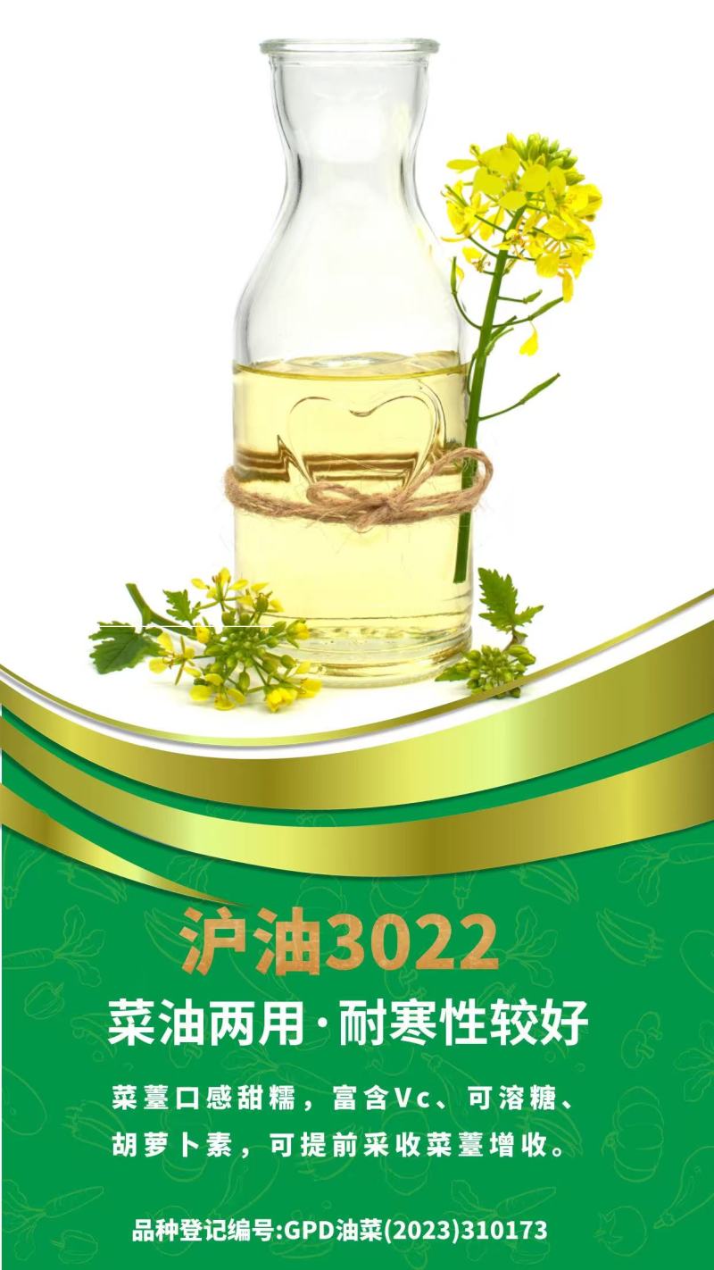 油菜种子，黑籽，厂家直发，一手货源，量大优惠，欢迎合作