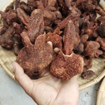 锁阳，云南产地，干货包邮
