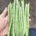云南小金豆四季豆一手货源产地直发对接市场电商欢迎☎️