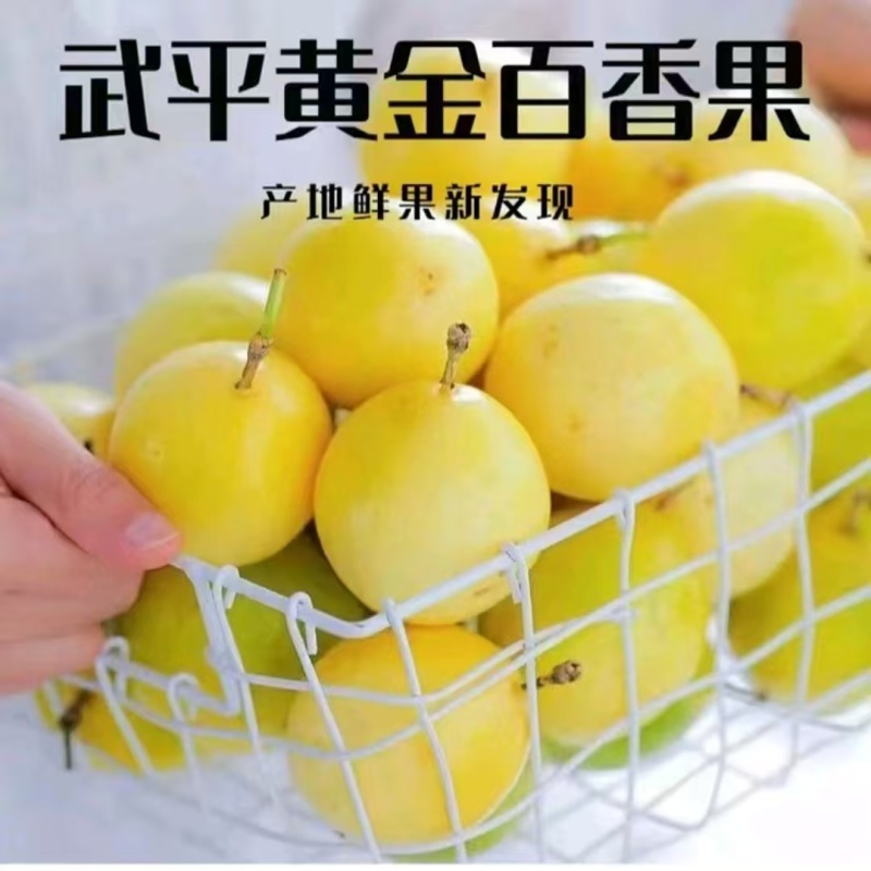 现摘现发顺丰包邮自家果园福建钦蜜9号百香果