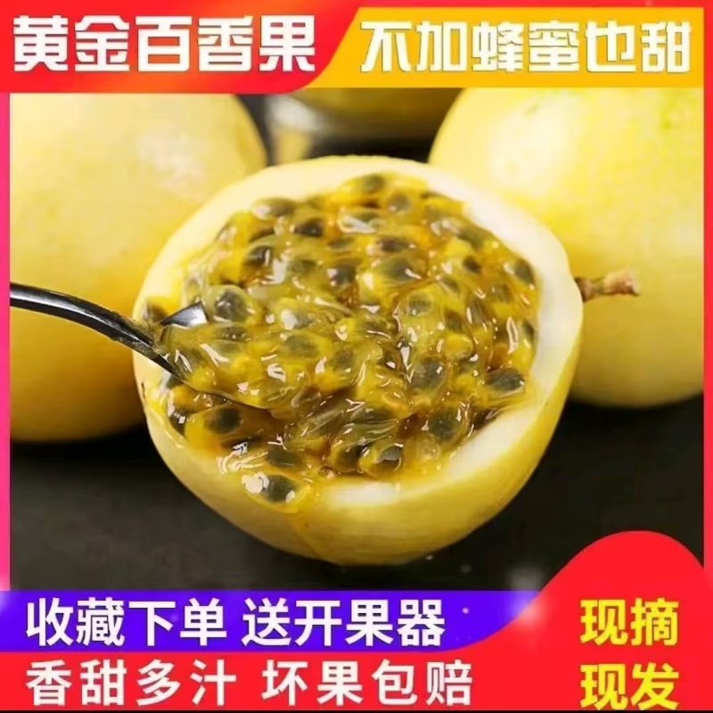现摘现发顺丰包邮自家果园福建钦蜜9号百香果