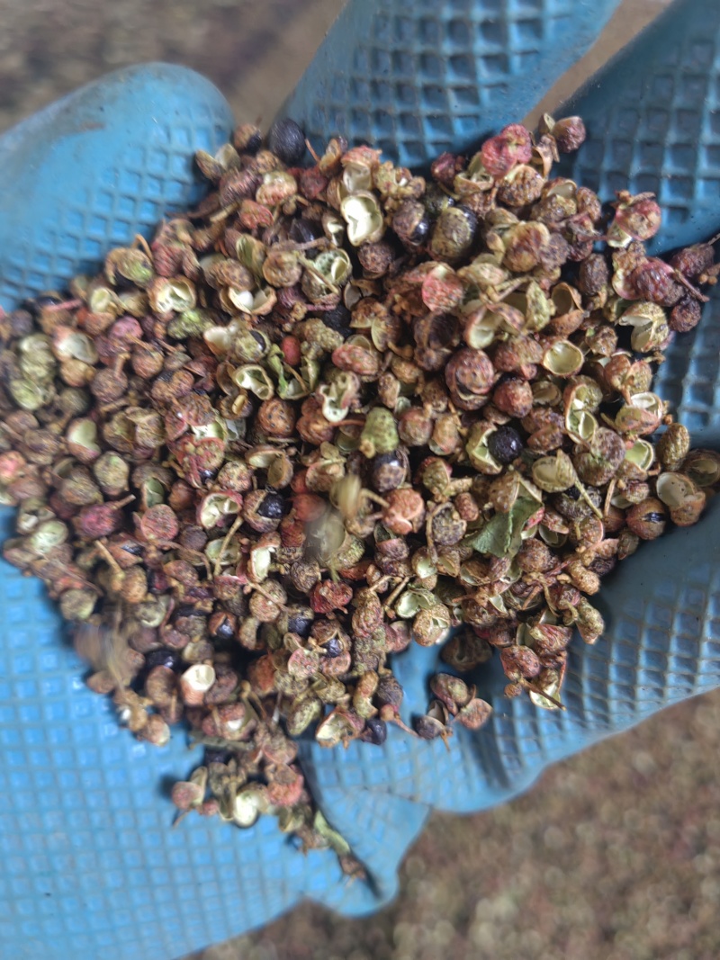 山东花椒
