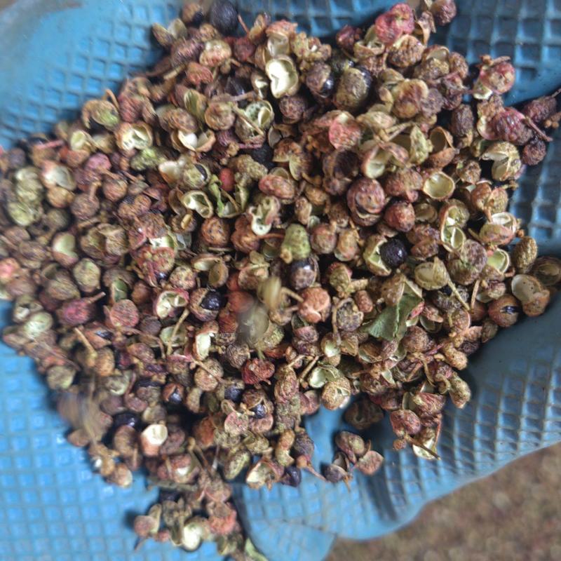 山东花椒