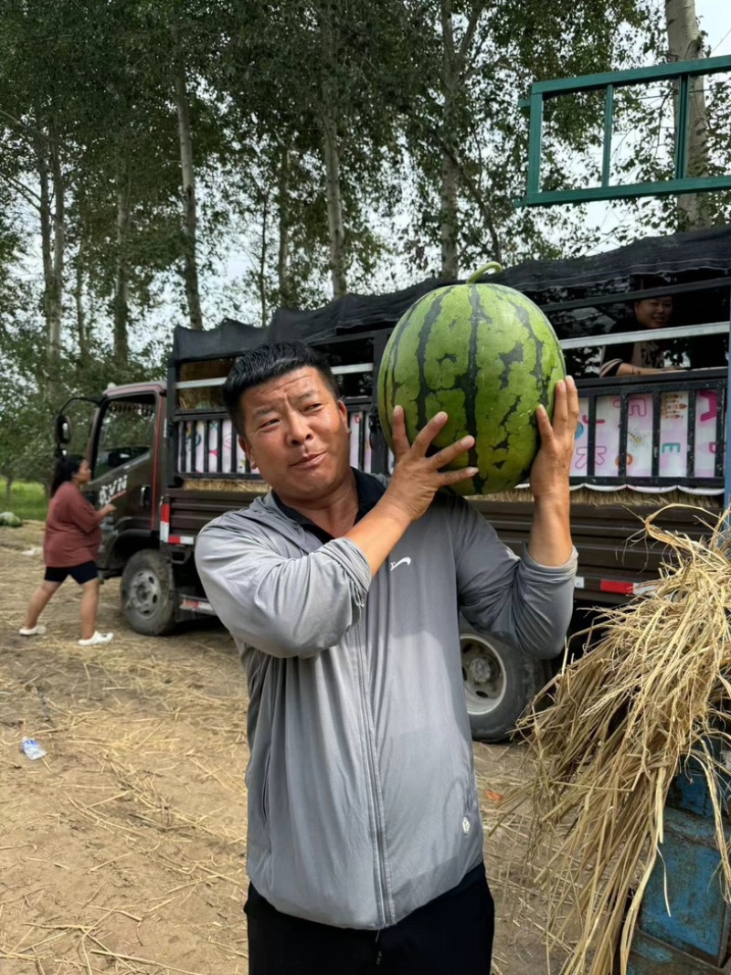 甜王西瓜/有籽甜王/东北西瓜/产区直发/2万斤起
