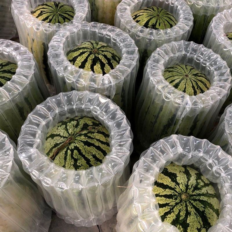 《金城5西瓜》硒砂瓜/金城五号/产地货源/质量三包代发