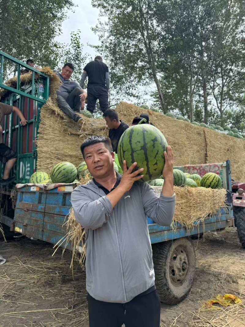 《有籽甜王西瓜》东北甜王西瓜/产地货源/质量三包代发