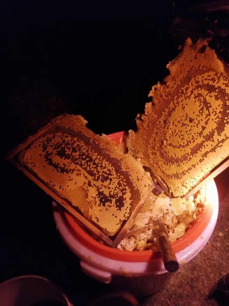 正宗农家蜂蜜，批发可价格可谈