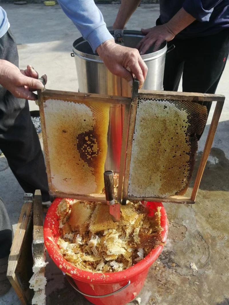 正宗农家蜂蜜