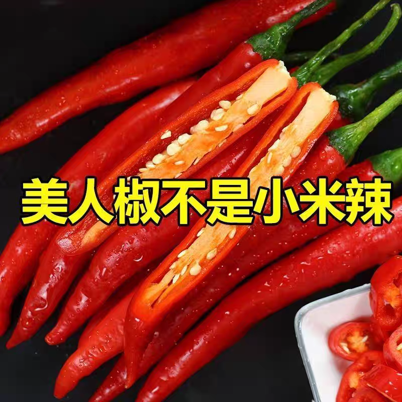 《美人椒》海花红/产地直发/大量上市/供应电商，市场商超
