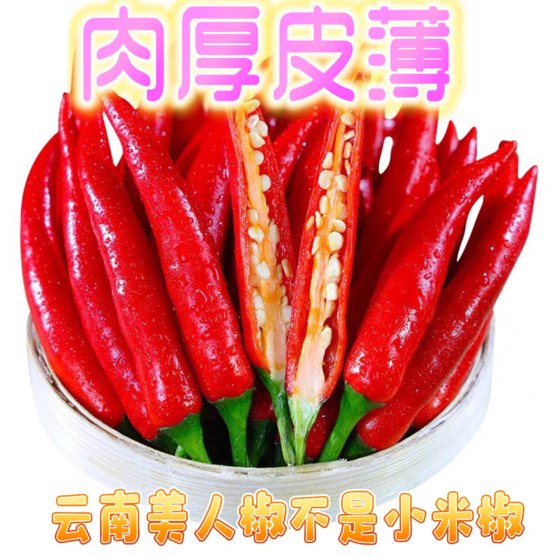 《美人椒》海花红/产地直发/大量上市/供应电商，市场商超
