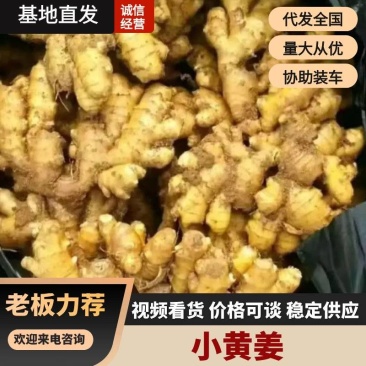 生姜小黄姜/产地批发【坏烂包赔/常年有货】全国发货