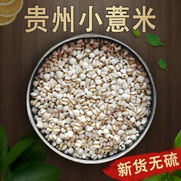 贵州薏米仁大量有货/精品薏米产地发货量大从优欢迎联系选购