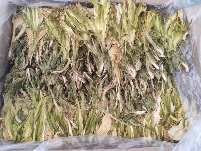 霸王花干菜干新花广东干七星剑花干昙花农家干货煲汤料无硫批