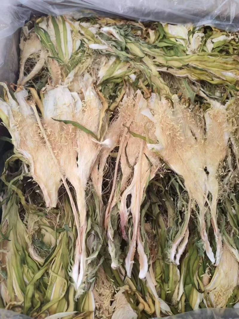 霸王花干菜干新花广东干七星剑花干昙花农家干货煲汤料无硫批