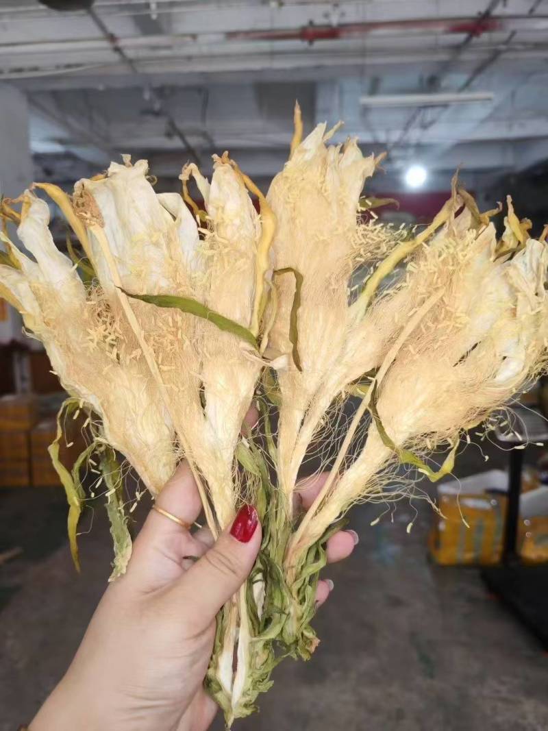 霸王花干菜干新花广东干七星剑花干昙花农家干货煲汤料无硫批