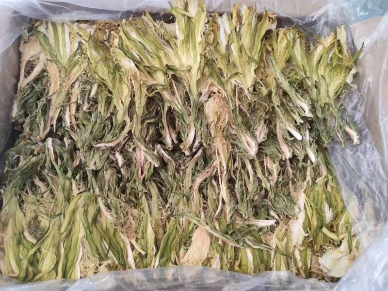 霸王花干菜干新花广东干七星剑花干昙花农家干货煲汤料无硫批