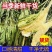 霸王花干菜干新花广东干七星剑花干昙花农家干货煲汤料无硫批