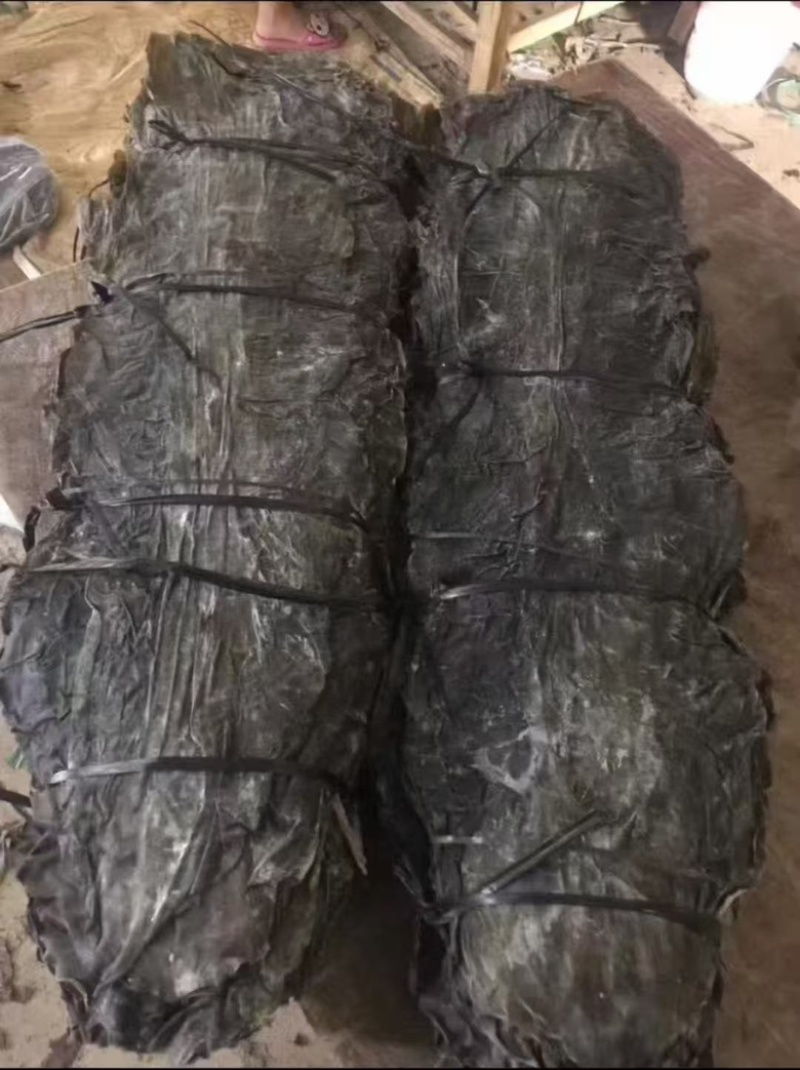 优质无沙全干厚实海带宽叶无杂质