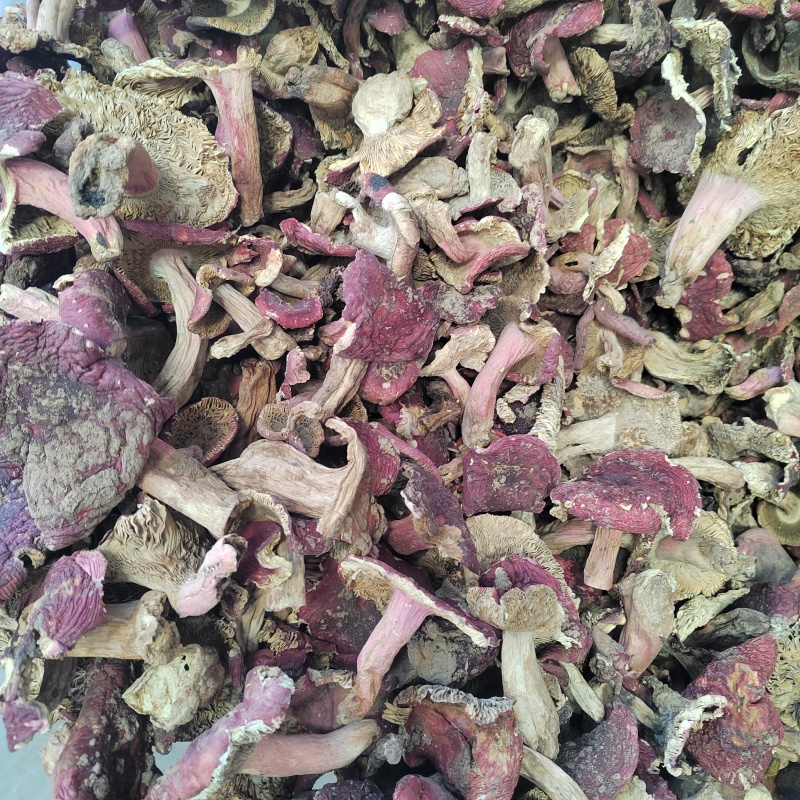 红菇批发红菌子精品红菇颜色鲜亮保证质量欢迎来电
