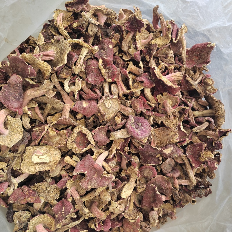 红菇批发红菌子精品红菇颜色鲜亮保证质量欢迎来电