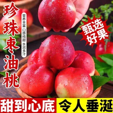 珍珠枣油桃大量现货供应对接各大电商平台社区团购一件代发