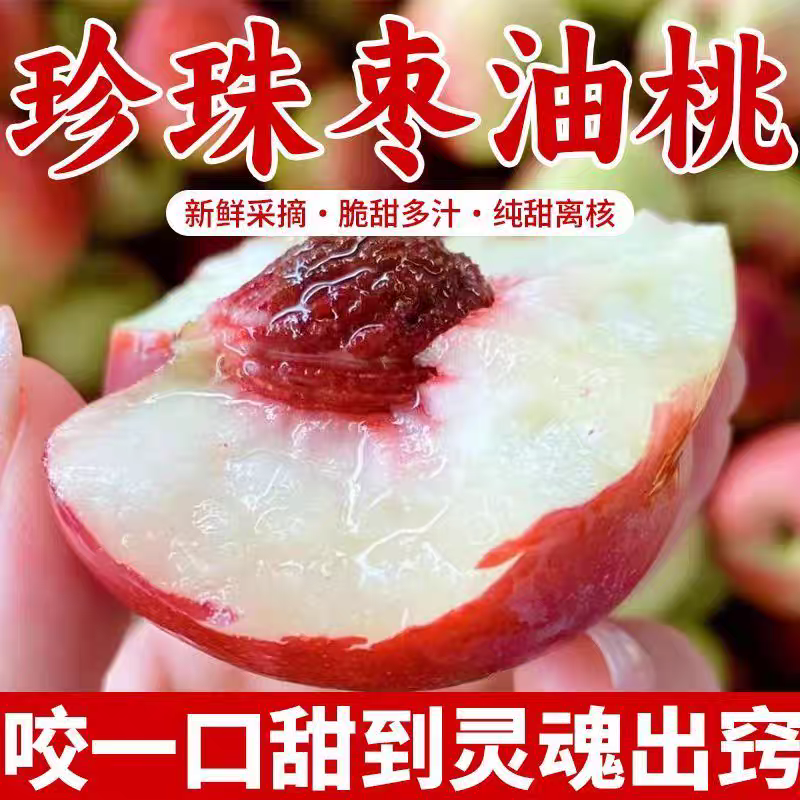 珍珠枣油桃大量现货供应对接各大电商平台社区团购一件代发