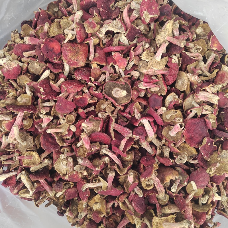 红菇大红菌新货颜色漂亮品质保证