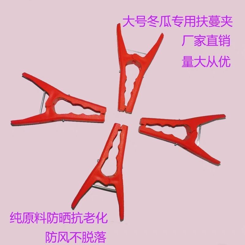 冬瓜夹子大号塑料夹子竹竿扶蔓夹吊秧夹绑蔓夹罗汉果黄瓜防风