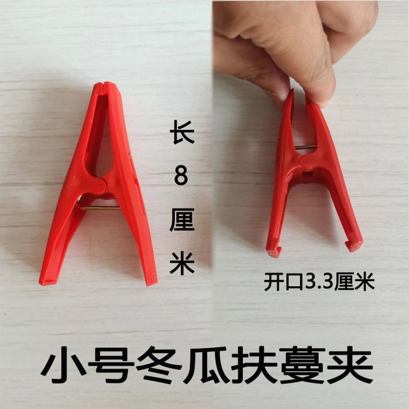 冬瓜夹子大号塑料夹子竹竿扶蔓夹吊秧夹绑蔓夹罗汉果黄瓜防风