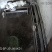 自家散养山羊
