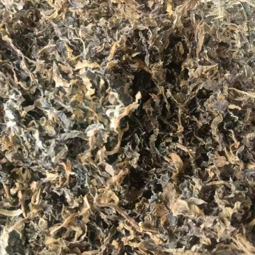 梅干菜，产地直发，大量现货，