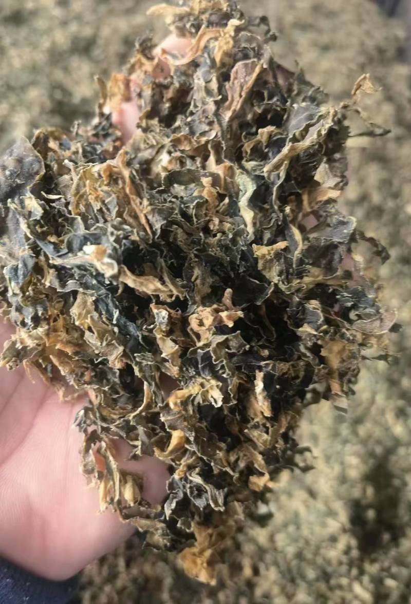 梅干菜，产地直发，大量现货，